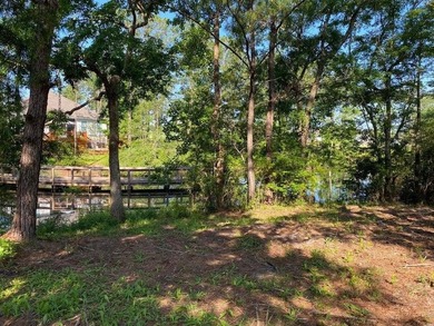 READY-TO-BUILD SINGLE FAMILY HOME LOT and PRICED TO SELL! - photo 9