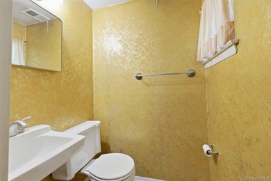 Well-Kept Home In Desirable West Islip With A Spacious Layout - photo 20