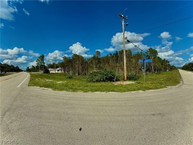 Lehigh Acres Area Lot For Sale in Lehigh Acres Florida