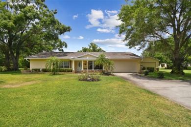 Lake Home Sale Pending in Lutz, Florida