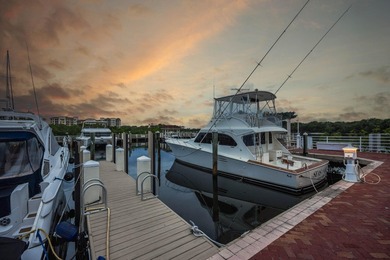 Slip 3 at the Jupiter Yacht Club Marina is a prime opportunity - photo 23