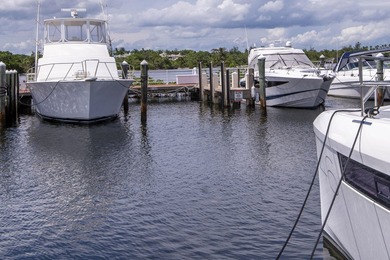 Slip 3 at the Jupiter Yacht Club Marina is a prime opportunity - photo 25