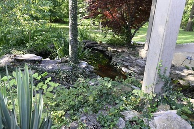 For more than 50 years, this home has been lovingly cared for by - photo 10