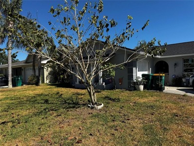 Lake Tarpon Home Sale Pending in Palm Harbor Florida
