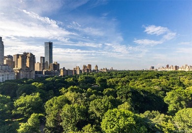 Residence 1607 at 160 Central Park South presents a rare - photo 10