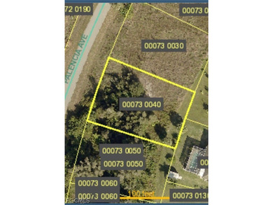 Lehigh Acres Area Lot For Sale in Lehigh Acres Florida