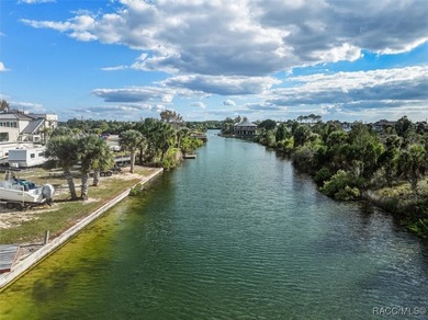 Exceptional waterfront commercial opportunity in Hernando Beach - photo 16