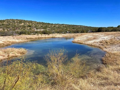 (private lake, pond, creek) Lot For Sale in Del Rio Texas