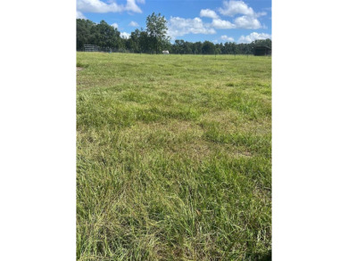Bowers Lake Acreage For Sale in Ocala Florida