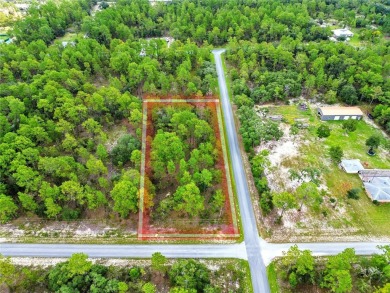 Lake Lot For Sale in Dunnellon, Florida