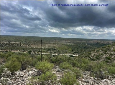 (private lake, pond, creek) Lot For Sale in Dryden Texas