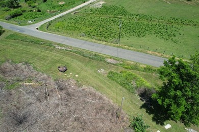8.5 +/- acres of rural land with abundant wildlife and plenty of - photo 11