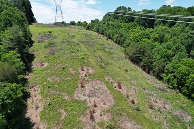 8.5 +/- acres of rural land with abundant wildlife and plenty of - photo 30