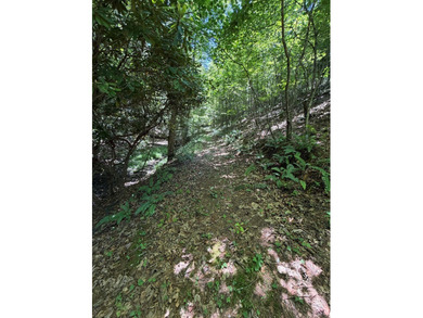 8.5 +/- acres of rural land with abundant wildlife and plenty of - photo 35