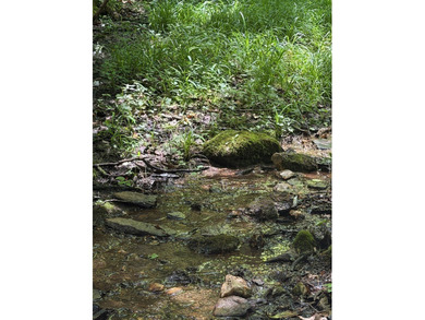 8.5 +/- acres of rural land with abundant wildlife and plenty of - photo 36