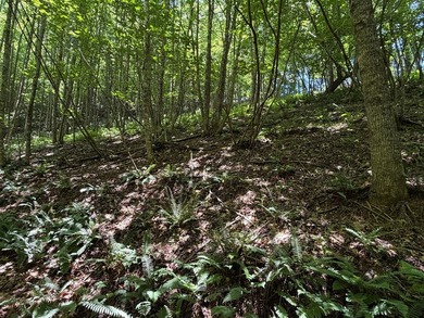 8.5 +/- acres of rural land with abundant wildlife and plenty of - photo 37