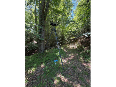8.5 +/- acres of rural land with abundant wildlife and plenty of - photo 38