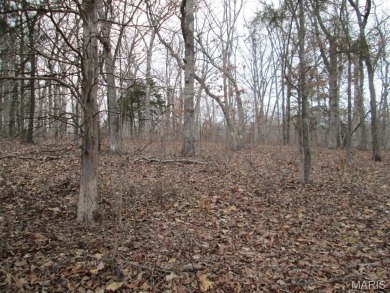 Lake Thunderbird Acreage Active Under Contract in Saint Clair Missouri