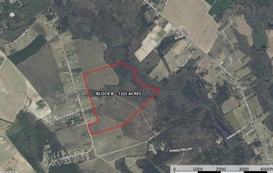 (private lake, pond, coastal) Acreage For Sale in Dalzell South Carolina