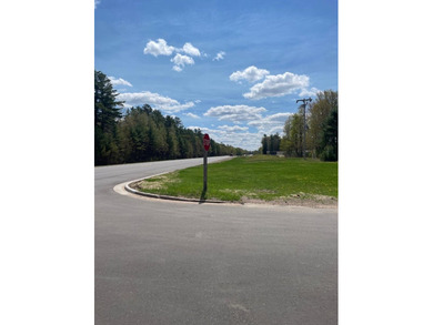 Multi Use lot with huge potential. Undeveloped lot and storage - photo 2