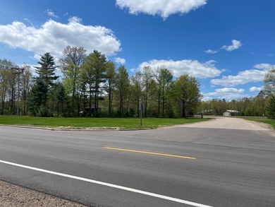 Multi Use lot with huge potential. Undeveloped lot and storage - photo 3