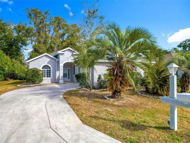 Virtually Staged. Beautifully Renovated Home in Ocala Palms - - photo 3