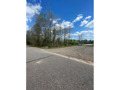 Multi Use lot with huge potential. Undeveloped lot and storage - photo 5