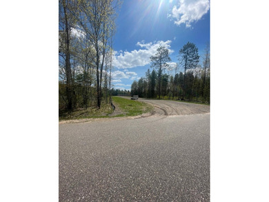 Multi Use lot with huge potential. Undeveloped lot and storage - photo 6