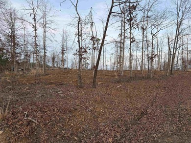 Lake Pinedo Lot For Sale in Hot Springs Village Arkansas
