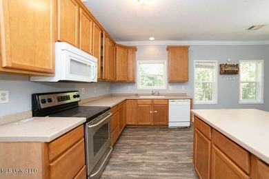Charming 3-Bedroom Home in Waveland Lot goes street to street - photo 6
