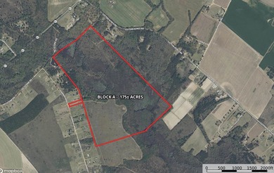 (private lake, pond, coastal) Acreage For Sale in Dalzell South Carolina