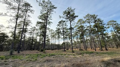 Lake Sam Rayburn  Lot For Sale in Brookeland Texas