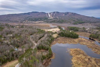 (private lake, pond, creek) Acreage For Sale in Danbury New Hampshire