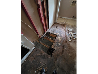 Rehab, fix'r upper-repairs required. The sales price is net cash - photo 6