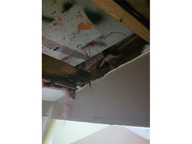 Rehab, fix'r upper-repairs required. The sales price is net cash - photo 8