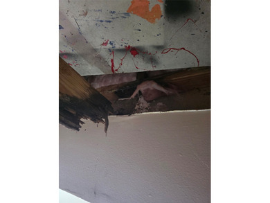 Rehab, fix'r upper-repairs required. The sales price is net cash - photo 9