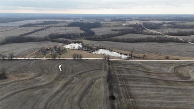 (private lake, pond, creek) Acreage For Sale in Bowling Green Missouri