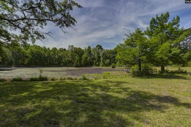 +/-21.83 acres with approximately 575 feet of road frontage on - photo 24