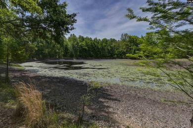 +/-21.83 acres with approximately 575 feet of road frontage on - photo 27