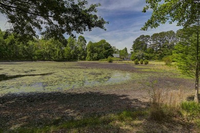 +/-21.83 acres with approximately 575 feet of road frontage on - photo 28