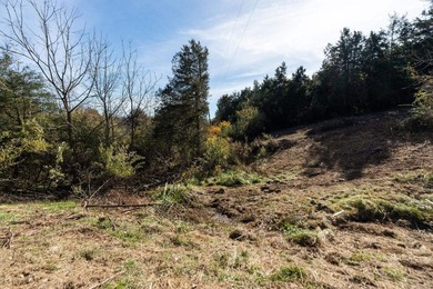 SAVE THIS HOUSE! Tucked in a private valley with farmland all - photo 31
