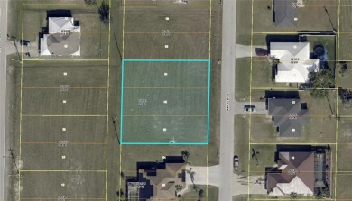 3 continuous lots for sale in beautiful Cape Coral. The property - photo 3