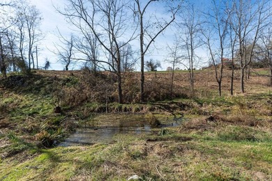 SAVE THIS HOUSE! Tucked in a private valley with farmland all - photo 34