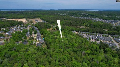 +/-21.83 acres with approximately 575 feet of road frontage on - photo 39