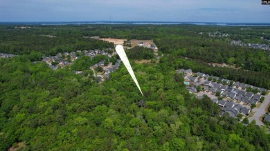 +/-21.83 acres with approximately 575 feet of road frontage on - photo 40