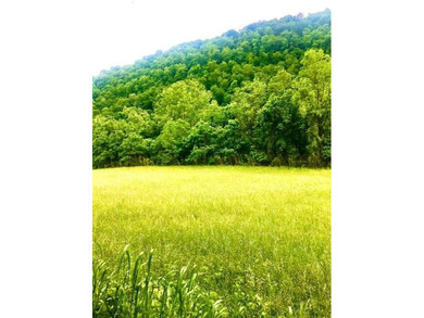 Clinch River - Hancock County Acreage For Sale in Tazewell Tennessee