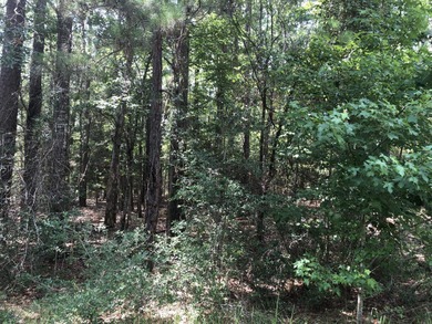 Lake Sam Rayburn  Lot For Sale in Brookeland Texas