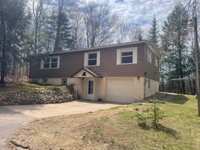 Lake Home For Sale in Townsend, Wisconsin