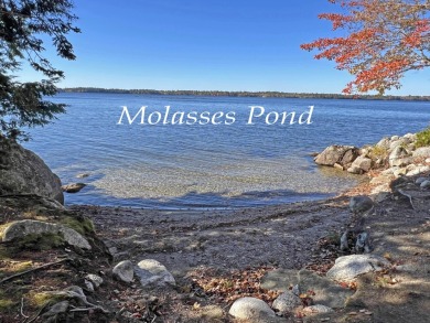 Molasses Pond Home For Sale in Eastbrook Maine