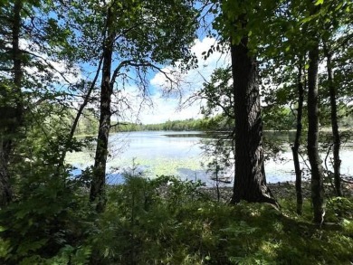 Lake Lot For Sale in , Michigan